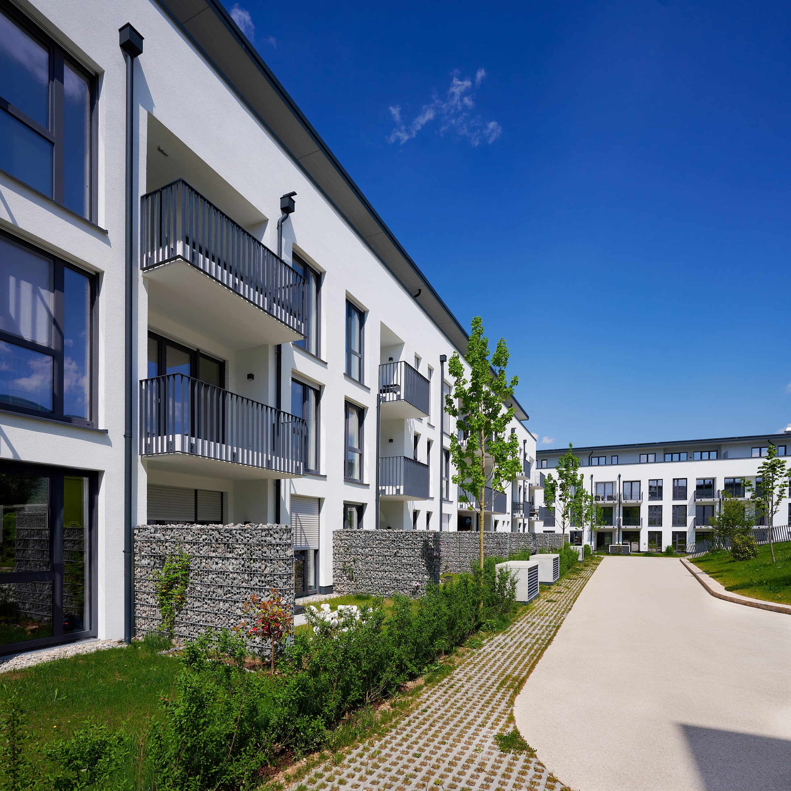 Gepflasterter Weg zwischen zwei Häusern des Annelies Quartiers, gesäumt von Vorgärten und jungen Bäumen