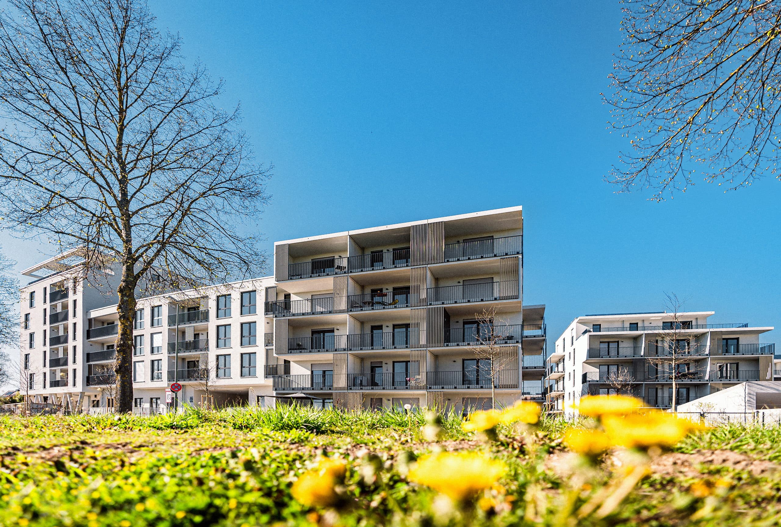 Gartenseite der Häuser des Wohnquartiers Römertor mit Balkonen und Terrassen im Frühling